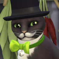 Cat99