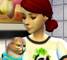 redycat