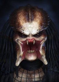 Sabbora