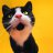 Candy Cat
