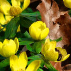 08793c52481f99b8640c4752b8e44536.gif