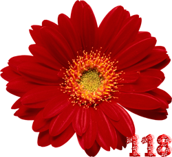 0_fb3e4_eaf8f744_M.png
