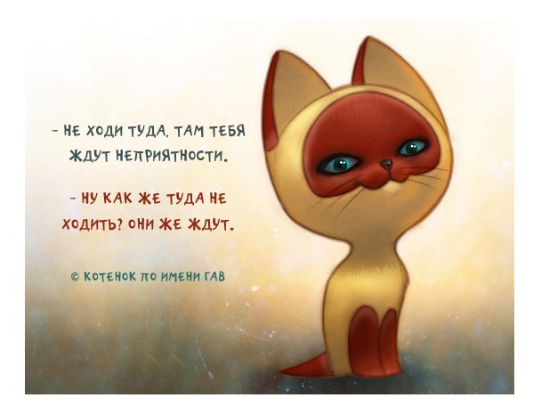 411889_original.jpg