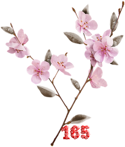 0_fb413_56d4610a_M.png