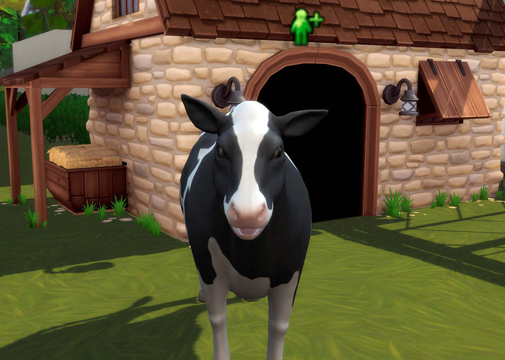 ZELgsUK.jpg