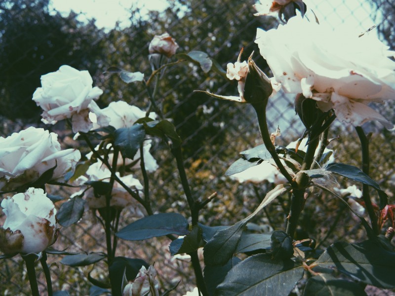 8edf7d490e54ed618142d2e2db5d8adb.jpg