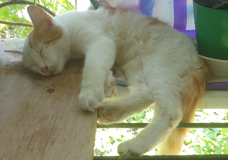 kl0bG87AxPg.jpg