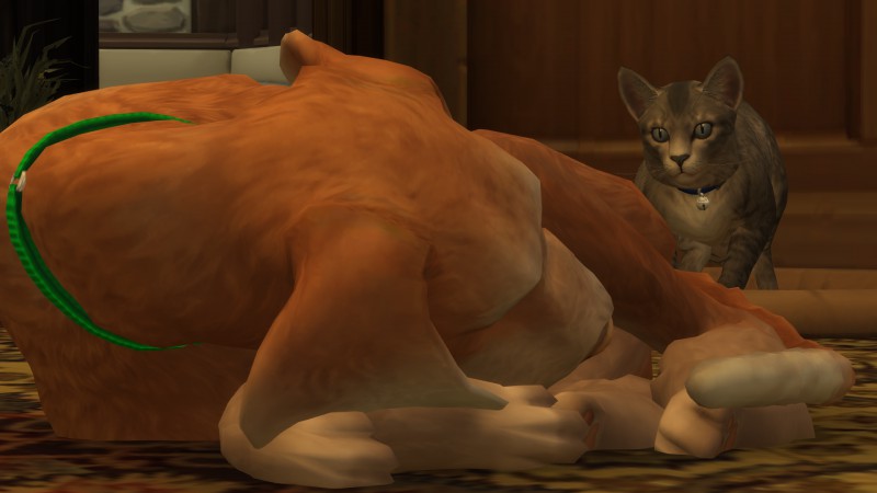 2545b4289c4689270c03f7f09daf236d.png