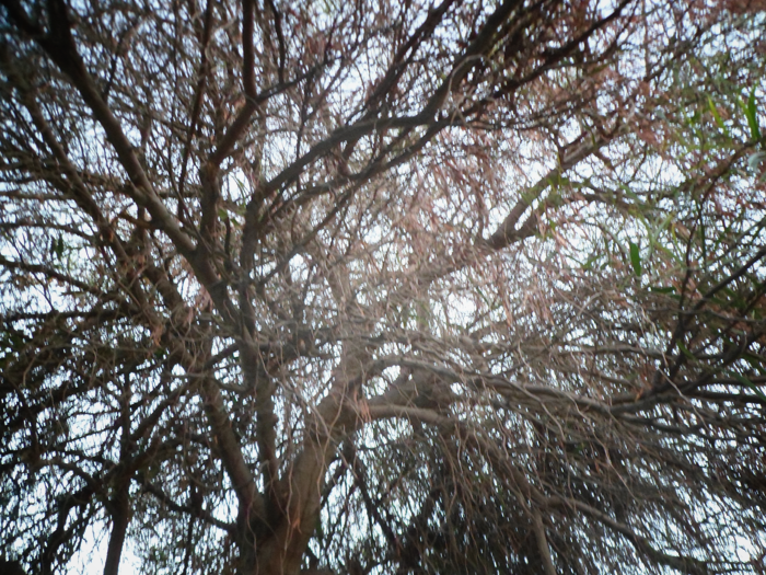 fbb2d52ec37d0f1d943a9c9b2149cf72.png