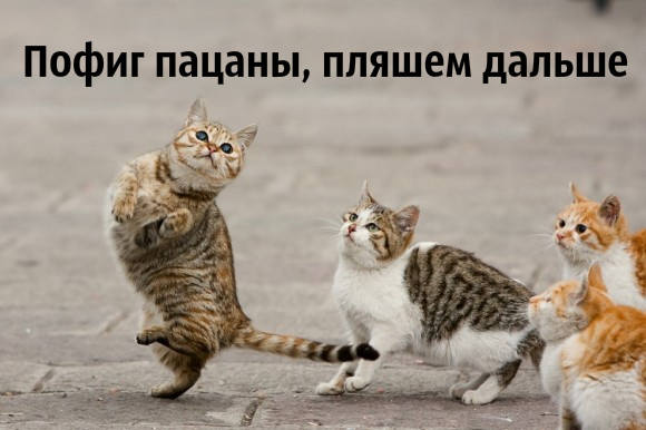 936029_m.jpg