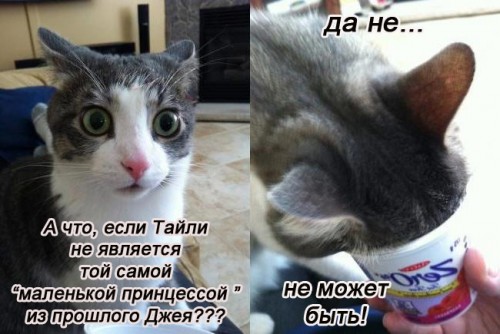 cd0e093e2dff614e1d1dc8e59633a88e.jpg