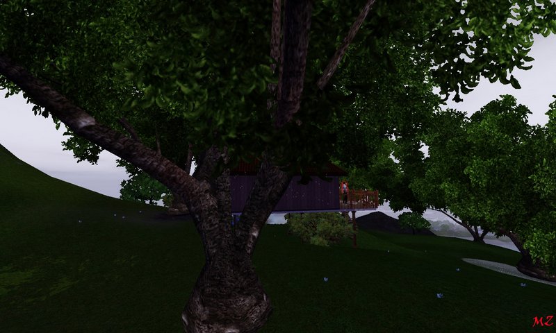 1047.jpg