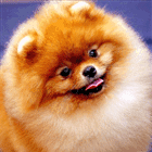 1d19de0b4ffcc9a736e889c90368e329.gif