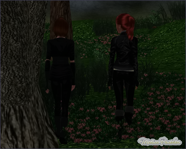 0_adb4d_5e8c6863_orig