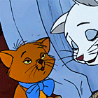 f3af3dfb08f7c8360898c6ad06451eff.gif