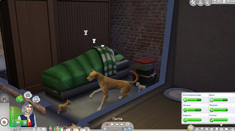 TS4-x64-2020-02-16-17-55-38-67.jpg
