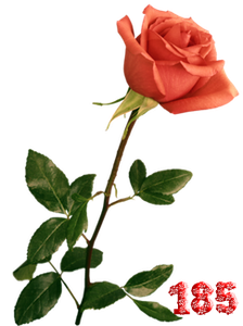 0_fb426_17f6903f_M.png