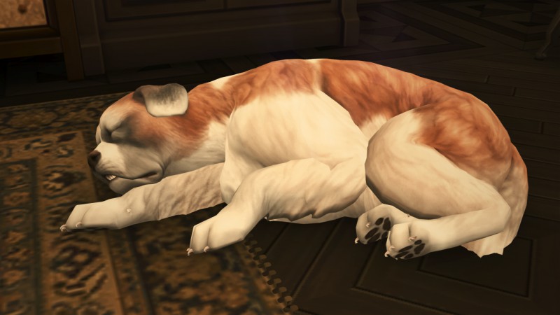 3ad5d905578338a9a9db0040019c091f.png