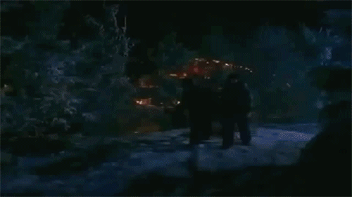 59dbda0bbd03b00bb033eb0cc2d84fa4.gif