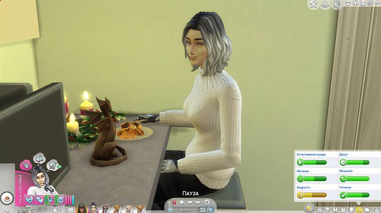 TS4-x64-2020-02-16-19-41-21-10.jpg