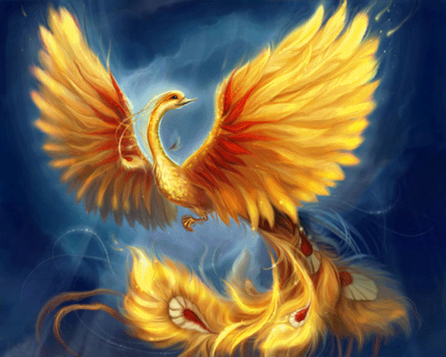 d8fd80cbf40953c1fddfa44781bbf777.gif
