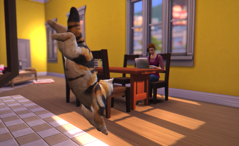 00014.png