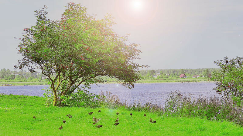 0_16621d_88c85b68_XL.jpg