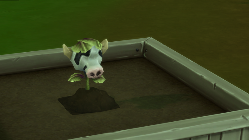 IRyyNaR.png