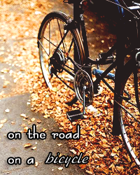 4956be2a2f07b0deed1303533dc50e58.png