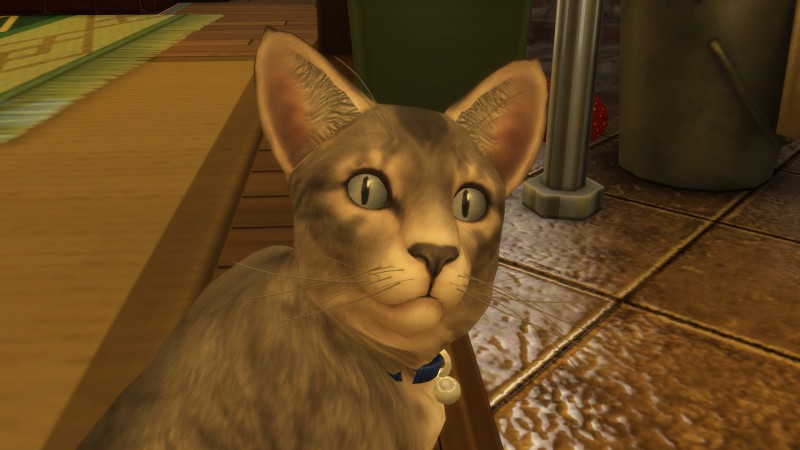 3dabc7c261a3a52770ba92c416814bae.png