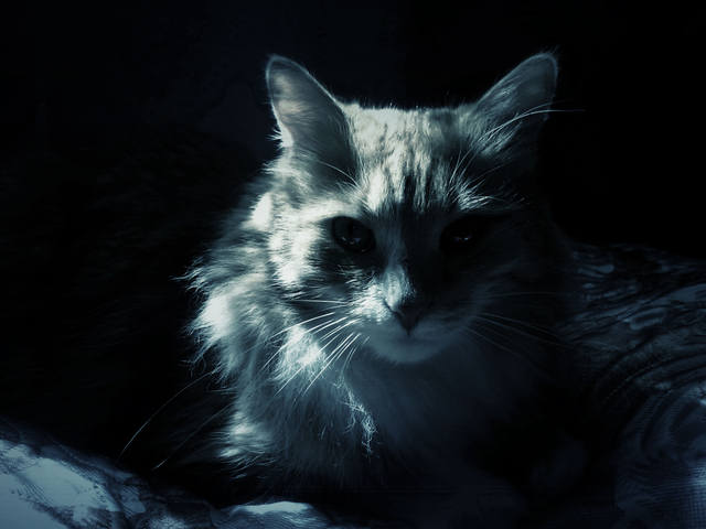 1173551_m.jpg