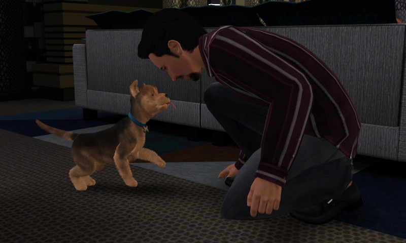 8c60e8b69dad18dbcc1d8d60d4d13b4f.jpg