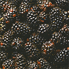 e4c4ef16e248f3a17356e3a522bf6227.gif