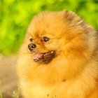 0a1b87a81c54061a09b1530e77024443.gif
