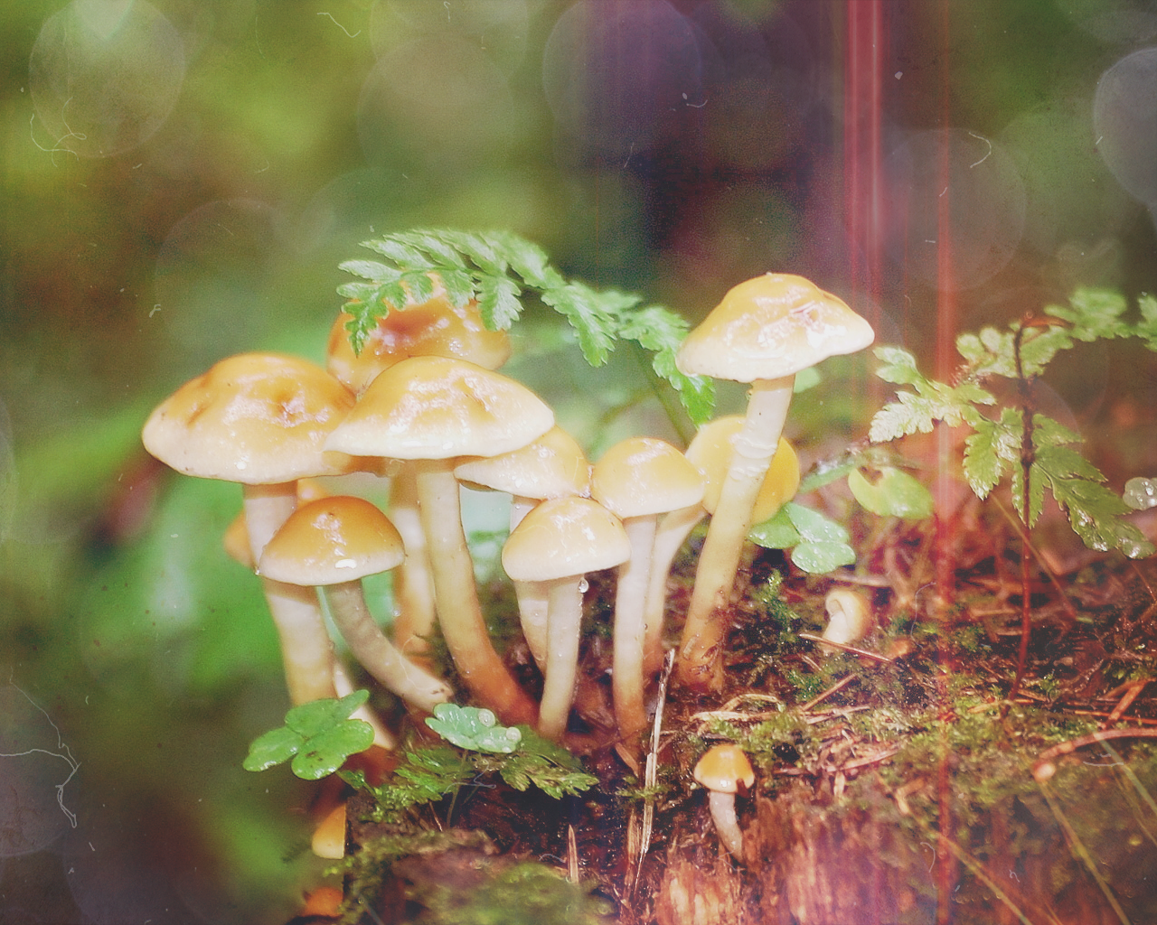 7b9eb4ea381efa2951a3af22a11d8120.png