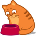 cat_hungry-128x128.png