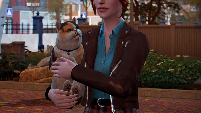 00041.png
