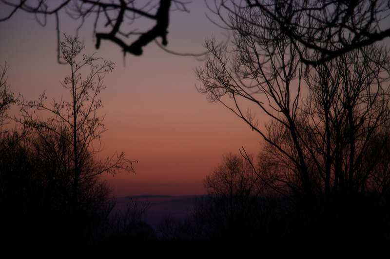 0_1037fa_8dc8b7d0_orig
