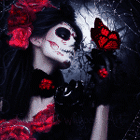 b468d86212623885ee14ab99dc6837cd.gif