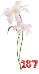 0_fb429_89c91499_M.png