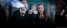 72ef8e7530fffab01759f0f4d192ebeb.gif