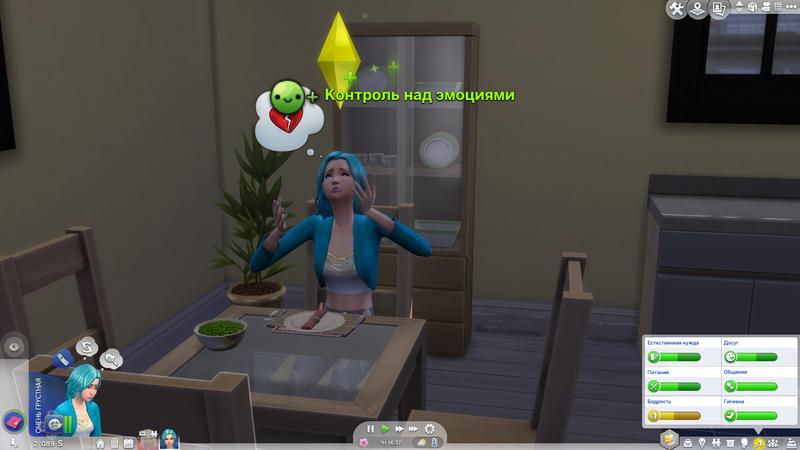2046.jpg
