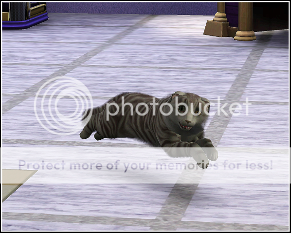 Screenshot-128.png