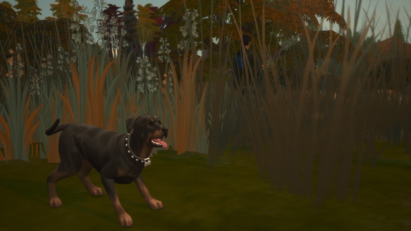 4dae83f1682a67693072d9aa7ae5fcdd.png