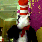 anigif1.gif