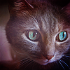 ad1221f7d3ef64e89ad4cf3d9559fe4a.png