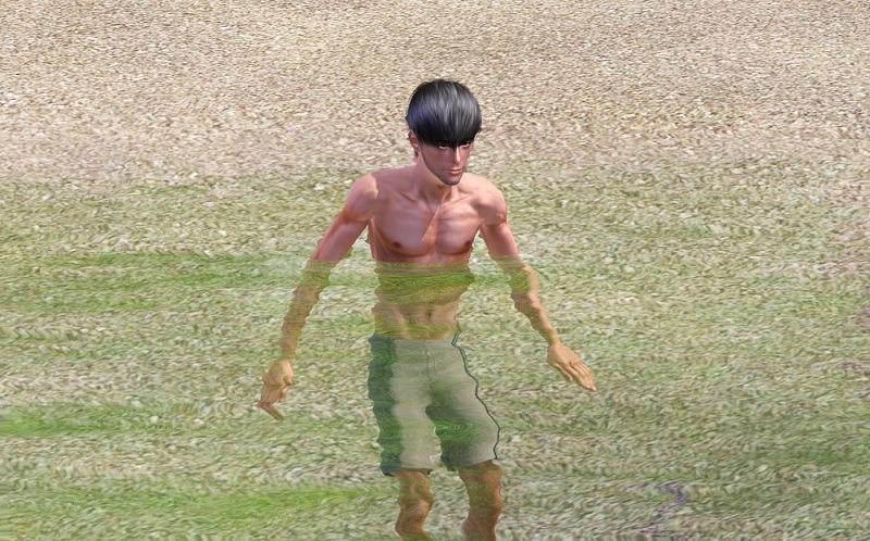 3266191.jpg
