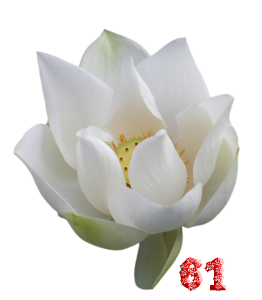0_fb3ab_38834ef8_M.png