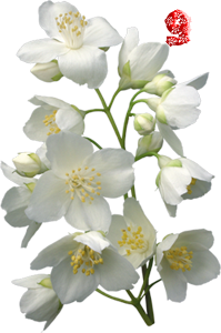 0_fb377_8f1b707c_M.png