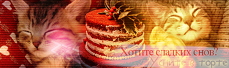 mQp80Bd.png